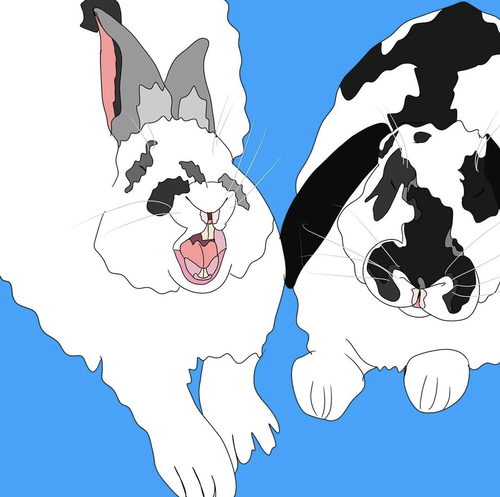 An of rabbits