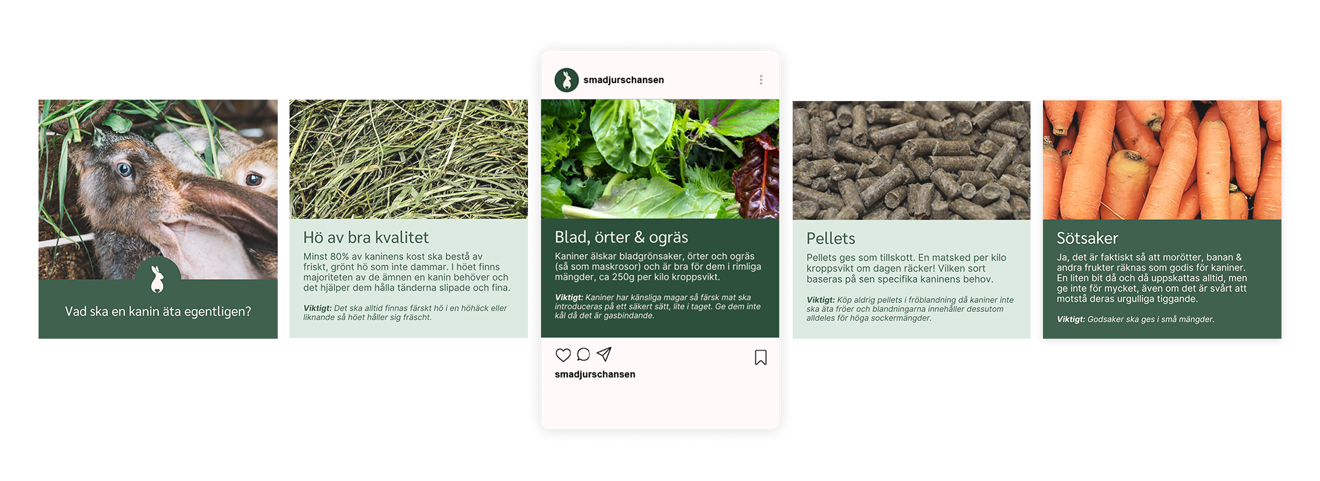 Work in Canva